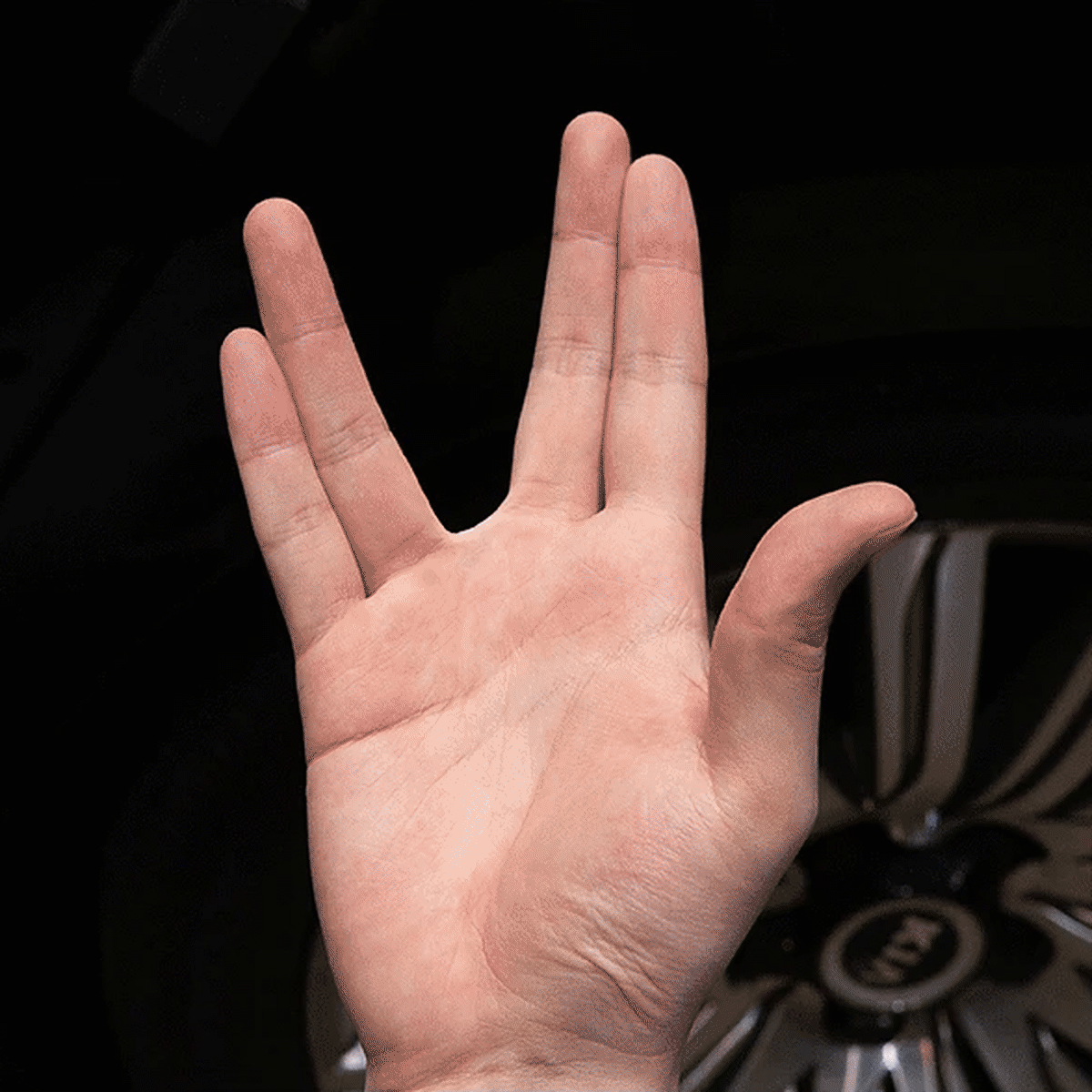Labocosmetica Wheel Mitt finger animation