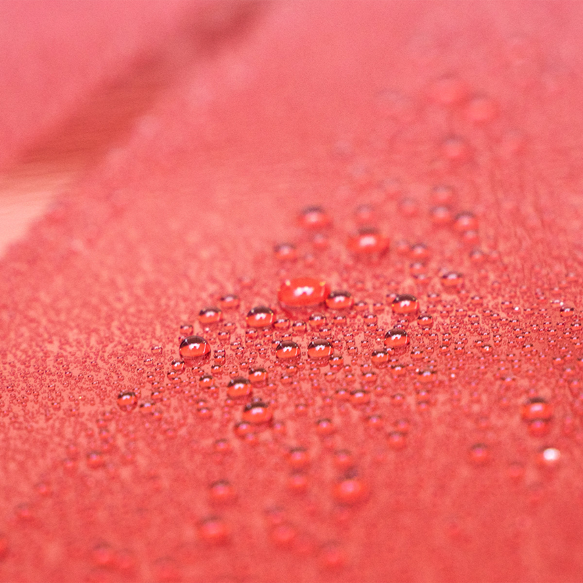 Maniac Line Ceramic Ultra Speed Wax