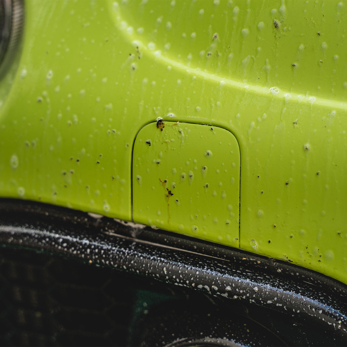 Maniac Line Foam Gun Prewash